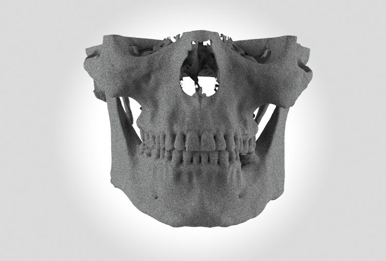 Replica anatomica
