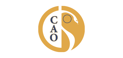 Logo FNOMCeO-CAO