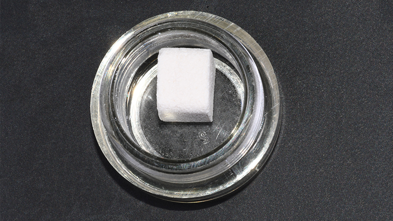 Sostituto osseo collagenato in blocco THE Graft Purgo