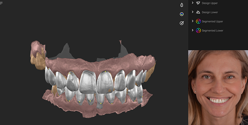 anatomie 3D