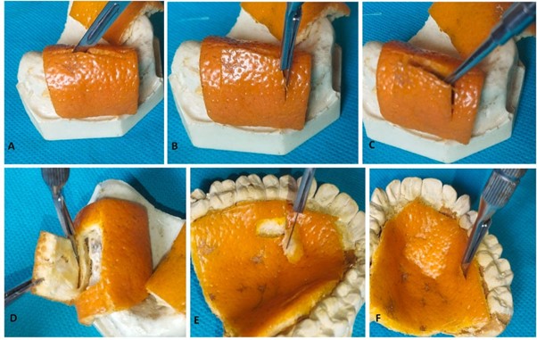 Buccia d'arancia utilizzata per restauri