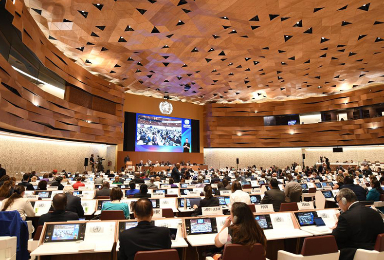 Assemblea Mondiale della Sanità 2024