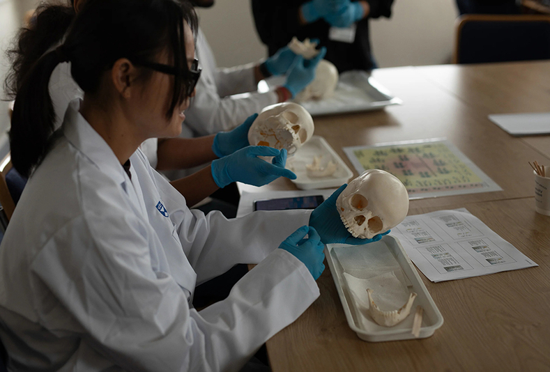 studenti di odontologia forense al lavoro