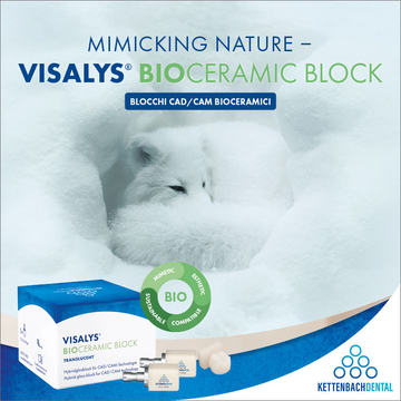 Banner medium Visalys Bioceramic Block