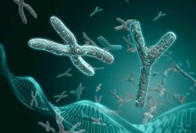 Amelogenina: proteina dello smalto come marcatore genetico
