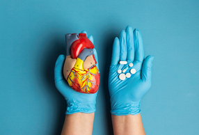 mani sorreggono un modello del cuore e degli antibiotici