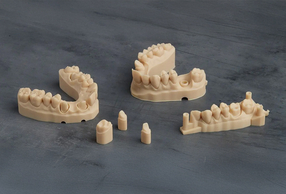 Tipodonti stampati in 3D