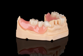 Flexmon Partials Zirkonzahn