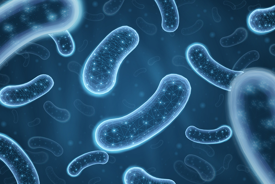 AI e medicina di precisione per combattere l’antibiotico-resistenza Primo piano di batteri