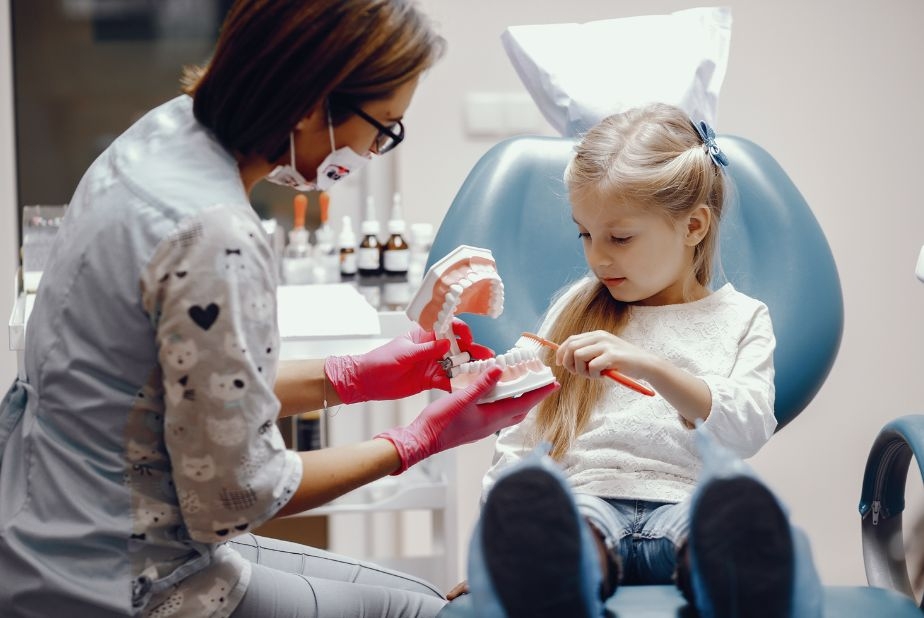L'integrazione sinergica tra odontoiatria pediatrica e ortodonzia bambina con dentista e modellino di dentatura