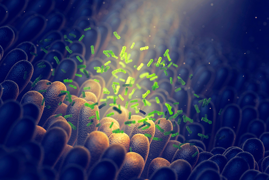 Il microbioma orale può rivelare l'età biologica? microbioma